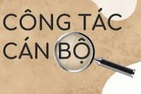 Một số trường hợp đặc thù áp dụng tiêu chuẩn chức danh khi bổ nhiệm, giới thiệu cán bộ ứng cử
